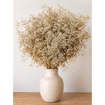 Dovoz z EU Stabilizovaná mini Gypsophila svazek/kytice přírodní béžová 90g-95g