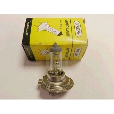 Golden H7 PX26d 24V 70W