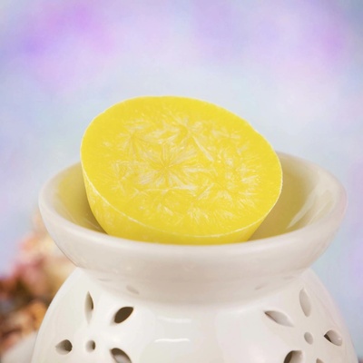 Astron vonný vosk Citrus palmový vosk 30 g
