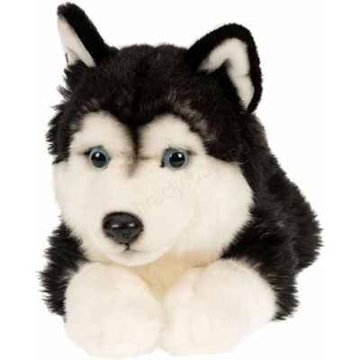 pes Husky ležící 35 cm