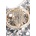 Kurt Geiger London Чанта Kurt Geiger London Chelsea (4354663779)