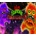 Alien Zombie Megadeath