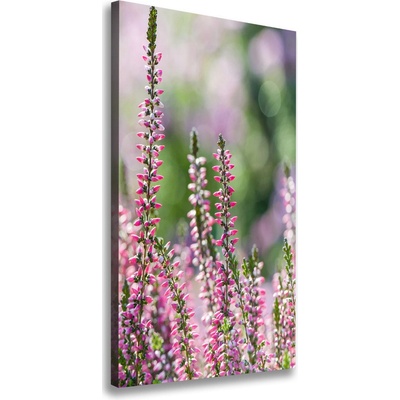 Vertikálny foto obraz tlačený na plátne Vres 50x100 cm