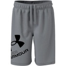 Under Armour UA Prototype 2.0 Logo Shorts