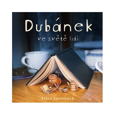 Tympanum Dubánek ve světě lidí