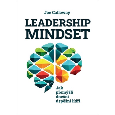 Leadership mindset