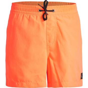 Quiksilver Плувни шорти evdayvlyth13 b