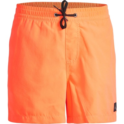 Quiksilver Плувни шорти evdayvlyth13 b