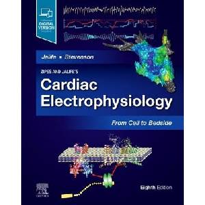 Zipes and Jalife's Cardiac Electrophysiology: From Cell to Bedside | Jose Jalife, William Gregory Stevenson (ISBN: 9780323757454)