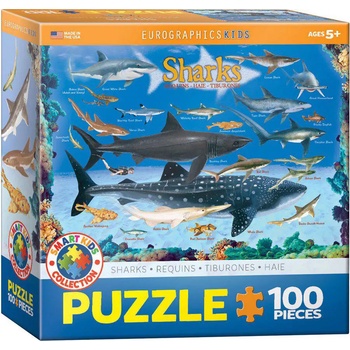 EUROGRAPHICS - Puzzle Sharks 100 XXL - 100 piese