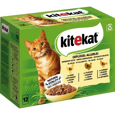 Kitekat Geflugel Alrei kuře drůbež krocan 12 x 85 g – Hledejceny.cz