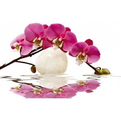 Orchidej 1 deska 100x50