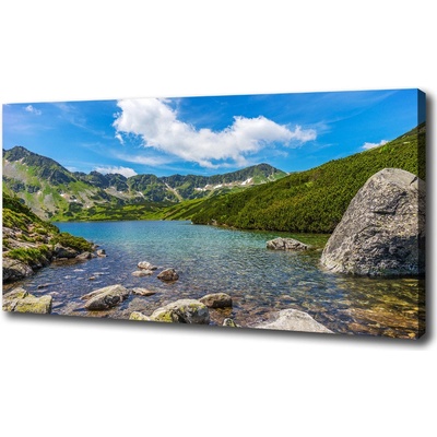 Foto obraz na plátne Údolie Tatry 100x50 cm
