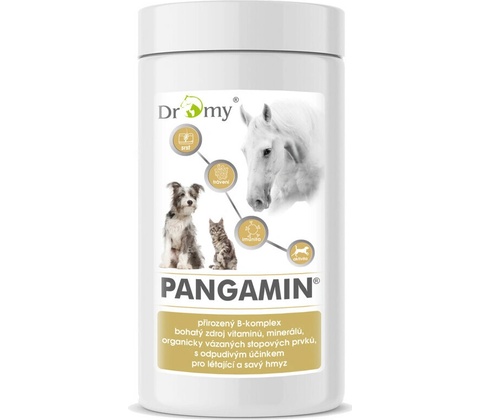 Dromy Pangamin 2000 tbl