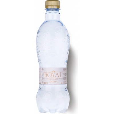 Royal Water DAILY ION WATER ionizovaná mikro clusterovaná voda s pH 8,5 0,5 l