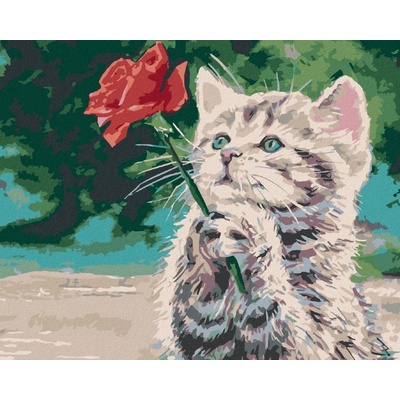 zuty Malování podle čísel Kotě a červená růže 80 x 100 cm bez rámu a bez vypnutí plátna 8596530066170