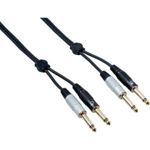 Bespeco EA2J500