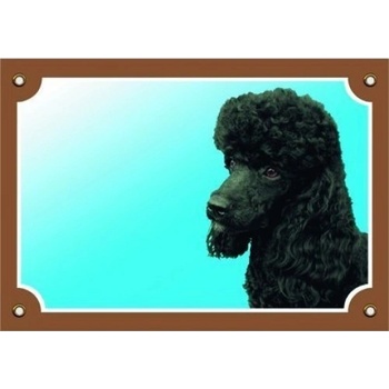 Dafiko Tabulka Pudl hnědý