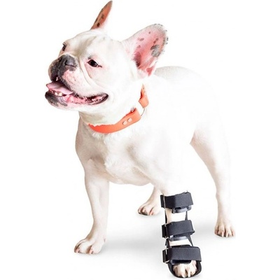 Walkinpets Ortéza s pätou pre psa na predné nohy XL