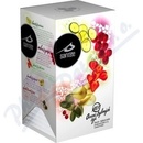 Santée čaj Mix ovocno bylinný 20 x 2,5 g
