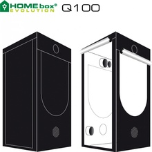 HOMEbox Evolution Q100 100x100x200 cm