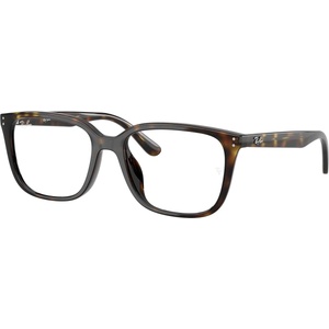 Ray-Ban RX7248D 2012 (RX7248D 2012)