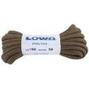 Lowa coyote