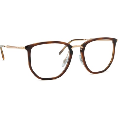 Ray-Ban 0RX4451V 5687 53