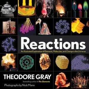 Reactions | Theodore Gray (ISBN: 9780762497362)