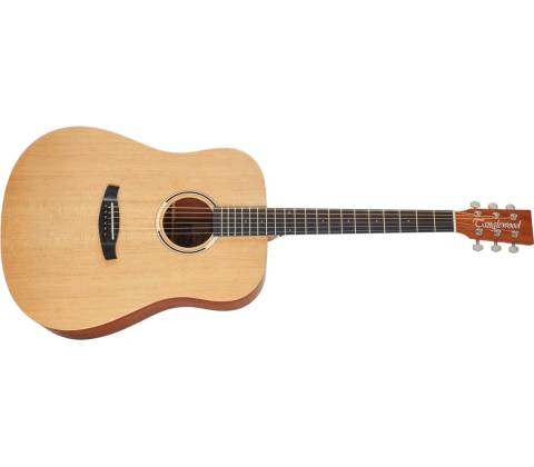 Tanglewood TR5 E