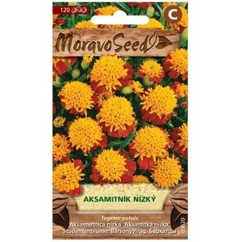 Semená Aksamitum decompositae, žltohnedé, 120 s