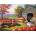 SunsOut - Puzzle Pumpkins for Sale - 1 000 piese