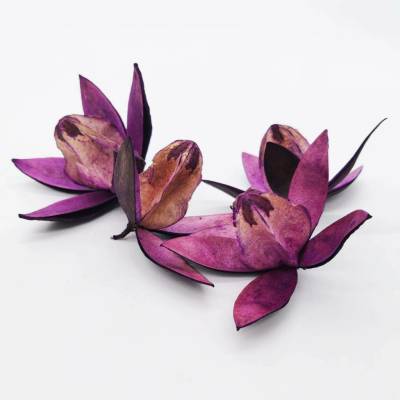 Wild lily - fialová - 30 ks