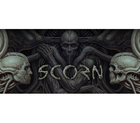 Scorn