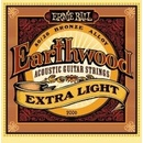 Ernie Ball 2006