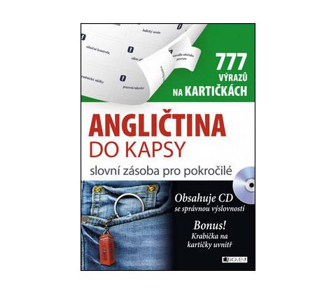 Angličtina do kapsy