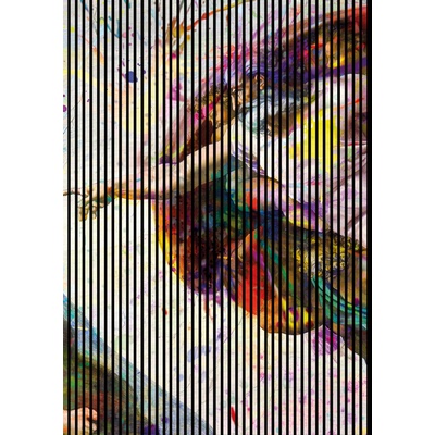 Neuhofer Designový akustický panel „Stvoření“ (Michelangelo01) Vyberte požadovaný rozměr: NR. 4: 1693 x 2400 mm (3 panely) – Hledejceny.cz