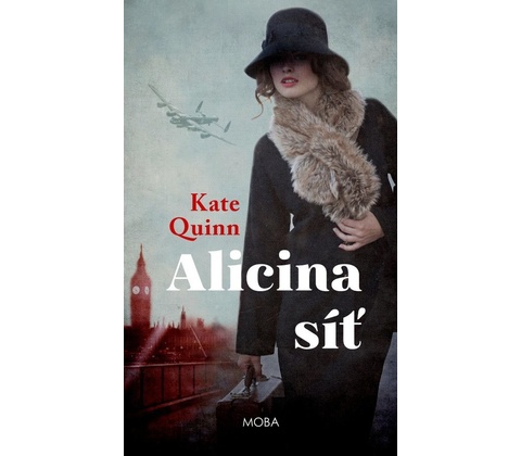 Alicina síť