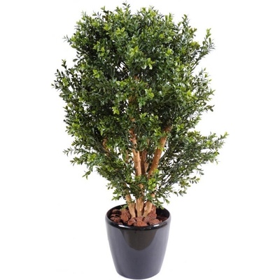 BUXUS NEW UV KEŘ, 80cm