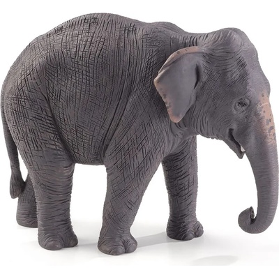 Mojo Фигурка Mojo Wildlife - Азиатски слон (387266)