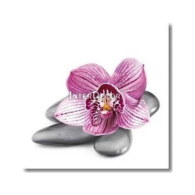 Kameny s orchideji 1 deska 70x70