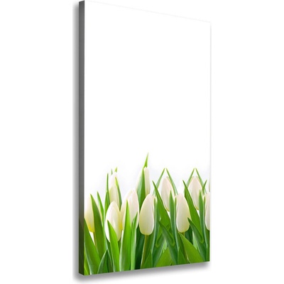 Vertikálny foto-obraz canvas do obývačky Biele tulipány 50x100 cm