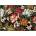 Interdruk - Puzzle Birds among flowers - 1 000 piese