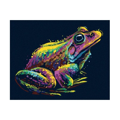 Zuty Malování podle čísel BAREVNÁ ŽÁBA