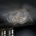 Schuller 160674