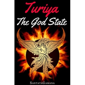 Turiya - The God State (ISBN: 9781728744049)