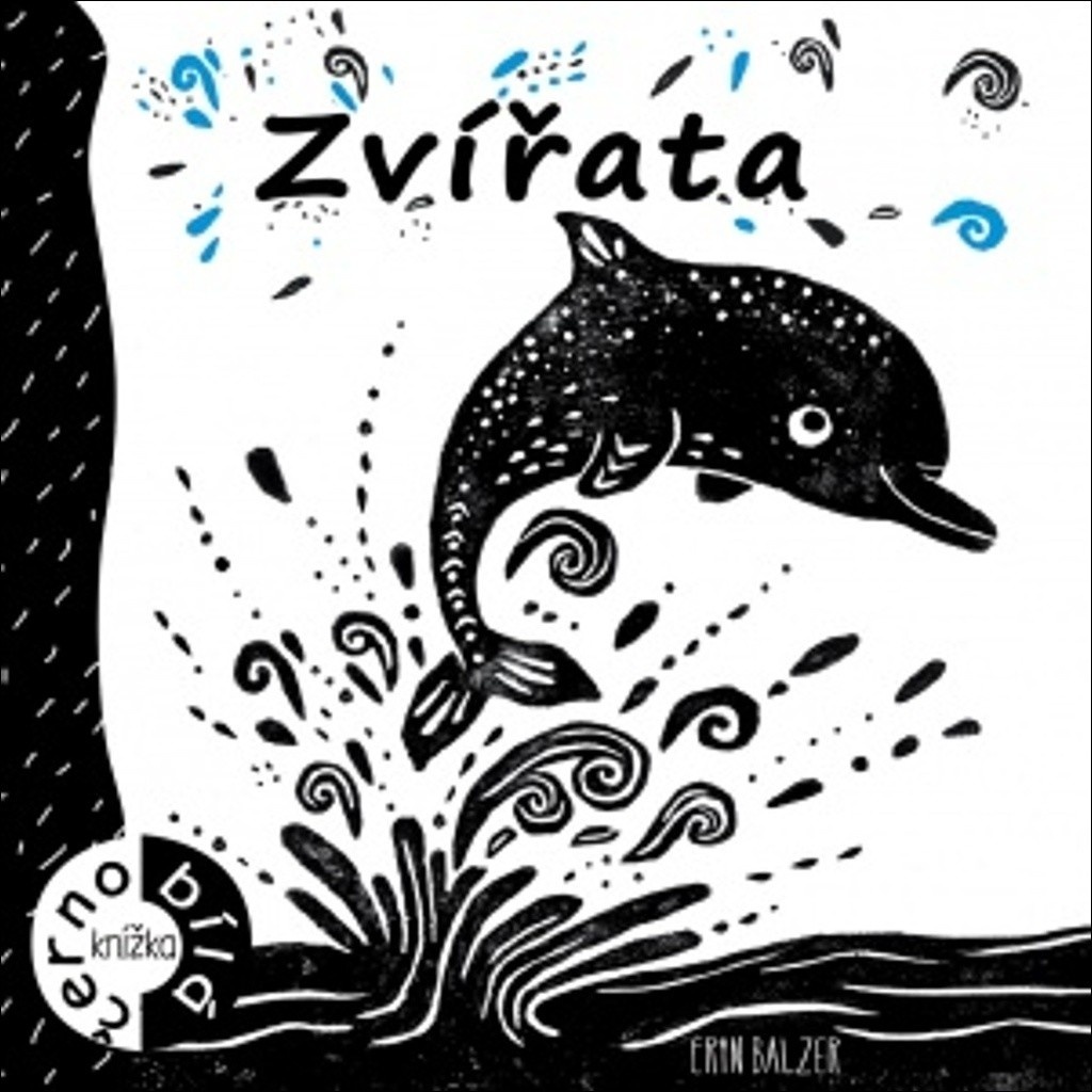 Zvířata