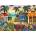 Ravensburger - Puzzle USA Jigsaw Nationals: Tropical Vibes - 500 piese
