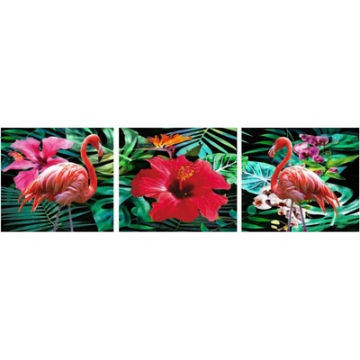 Bondecor 3dielna súprava obrazov Animal 30 x 90 cm