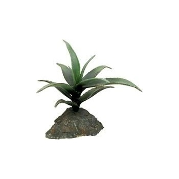 Lucky Reptile Tiger Aloe 8 cm